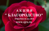 В Самарской губернии стартовала XXVII областная общественная Акция «Благородство».